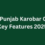 Punjab Karobar Card Key Features 2025