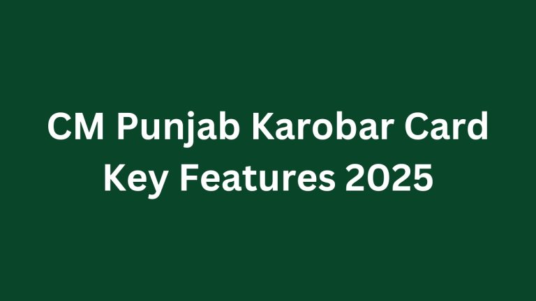 Punjab Karobar Card Key Features 2025