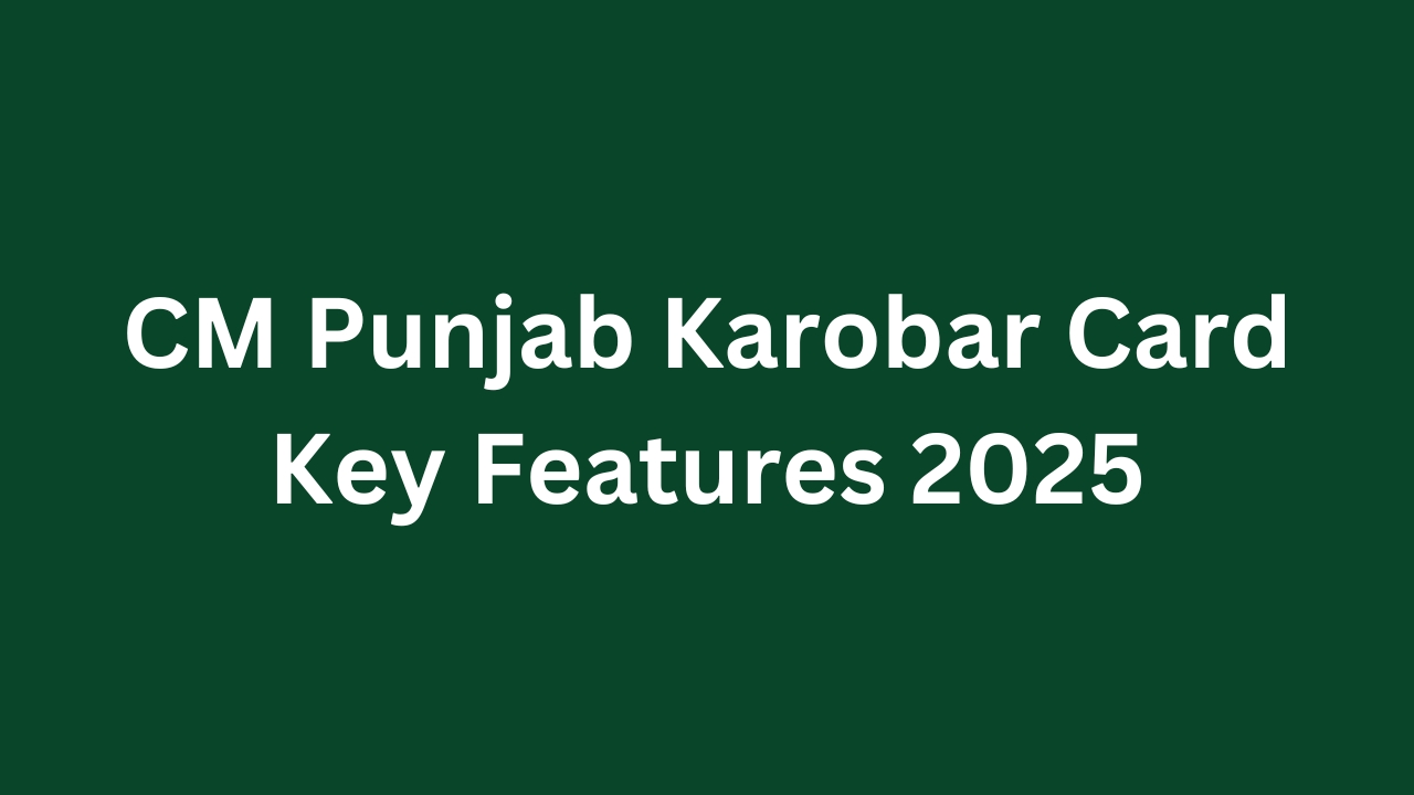 Punjab Karobar Card Key Features 2025